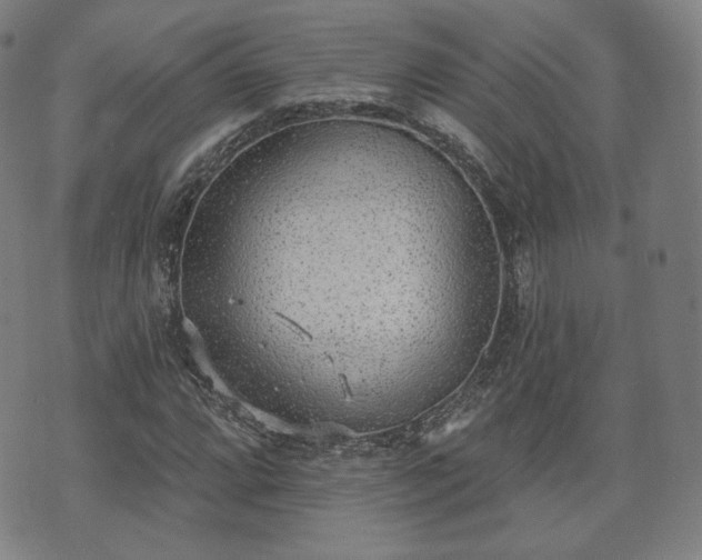 X0000071961064200607141429