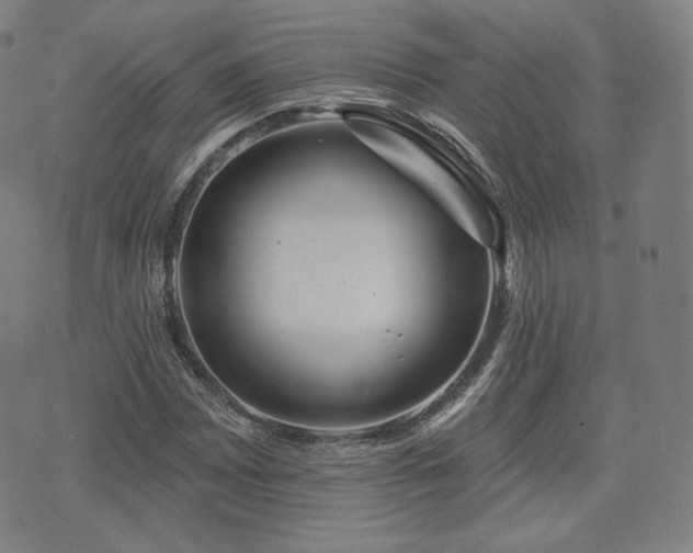 X0000071961065200607141429