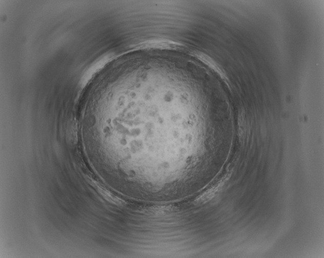 X0000071961067200607141429