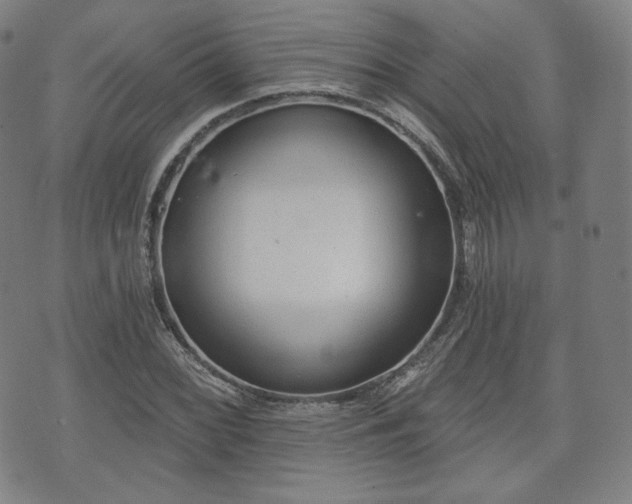 X0000071961068200607141429