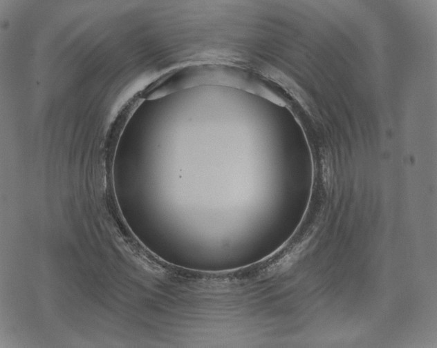 X0000071961069200607141429