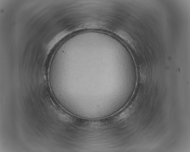 X0000071961070200607141428