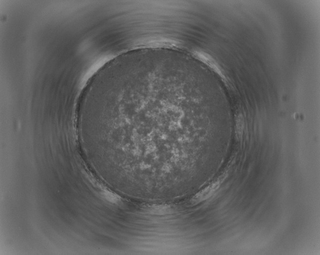 X0000071961071200607141428