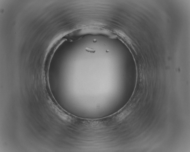 X0000071961072200607141428