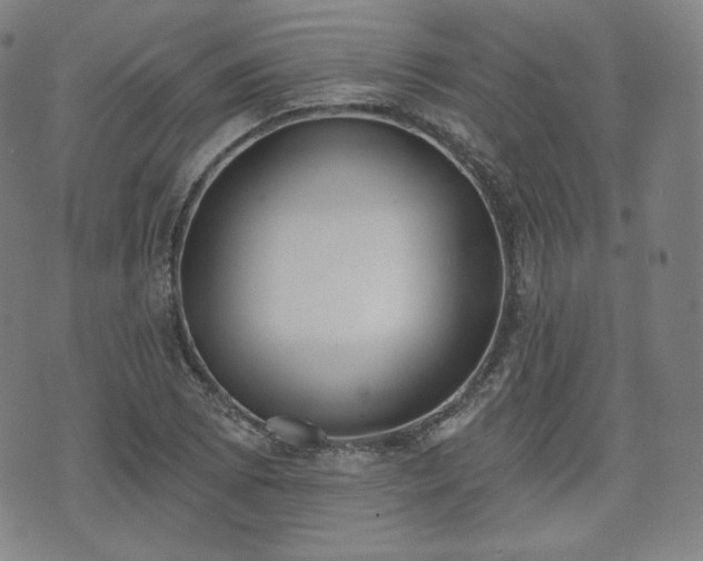 X0000071961073200607141428