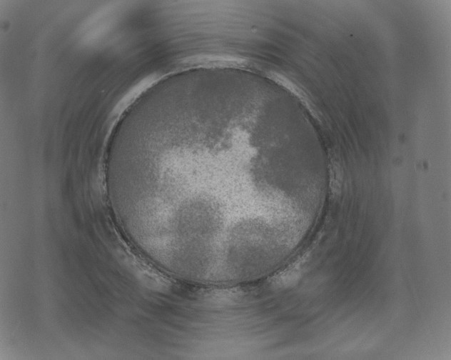 X0000071961074200607141428