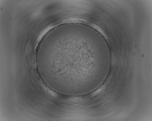 X0000071961075200607141428