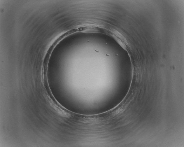 X0000071961076200607141428