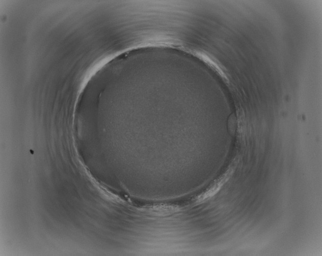 X0000071961077200607141428