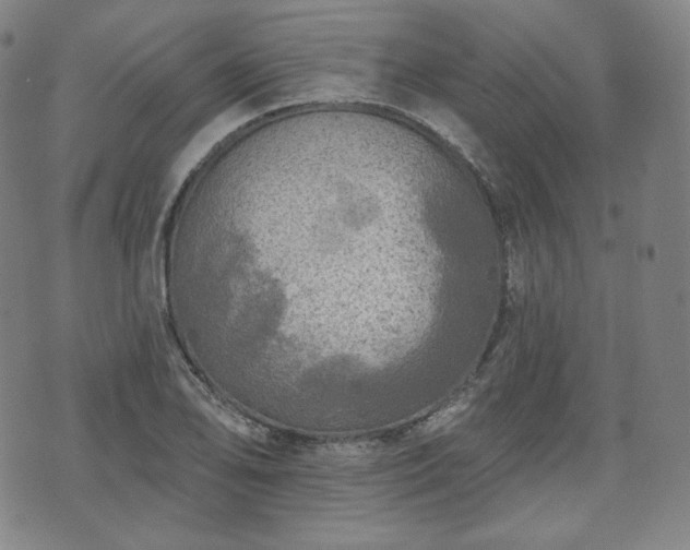 X0000071961078200607141428