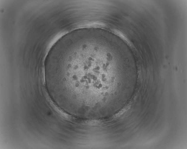 X0000071961079200607141428