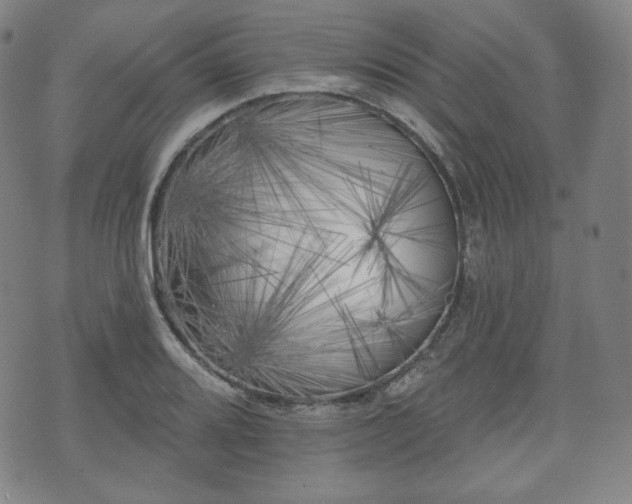 X0000071961080200607141428