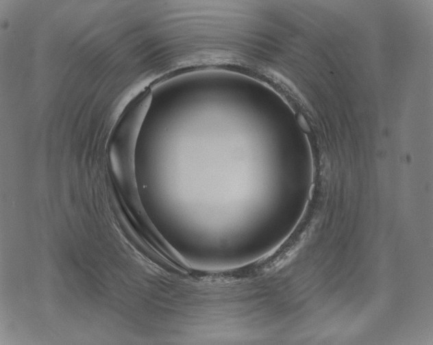 X0000071961081200607141428