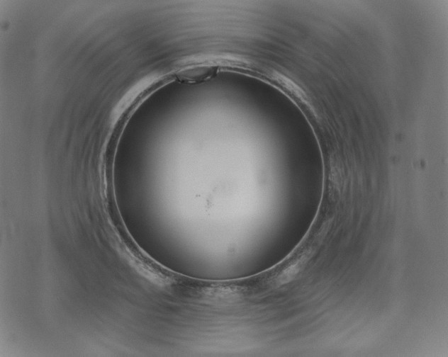 X0000071961082200607141428