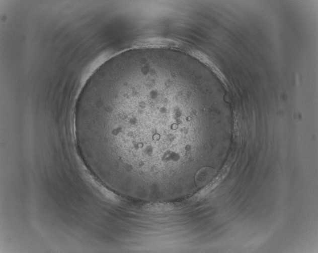 X0000071961083200607141428