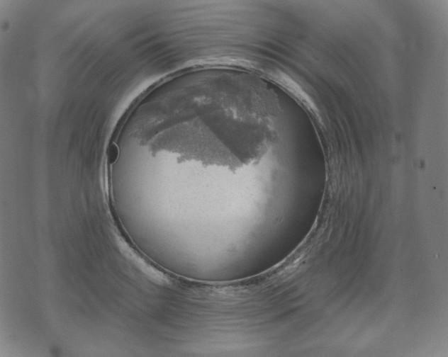 X0000071961084200607141428