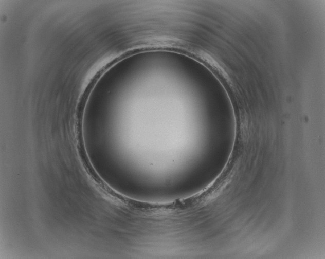 X0000071961085200607141428