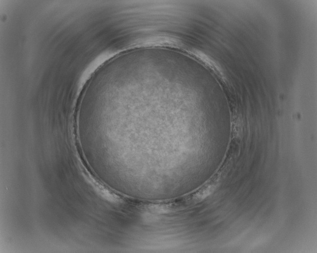 X0000071961086200607141428