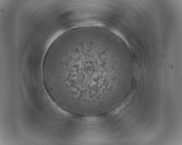 X0000071961087200607141428