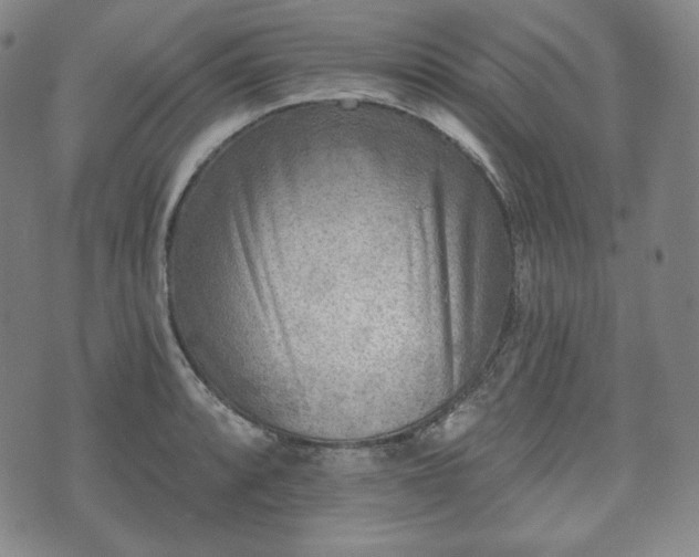 X0000071961088200607141428