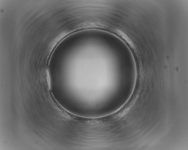 X0000071961089200607141428