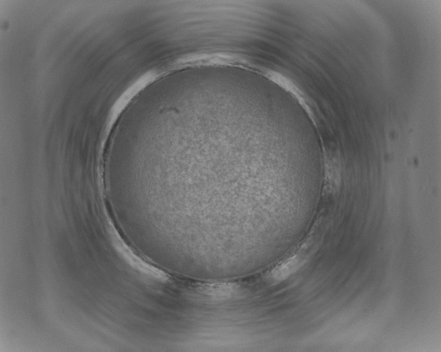 X0000071961090200607141428