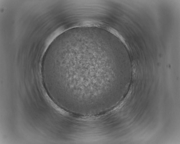 X0000071961091200607141428