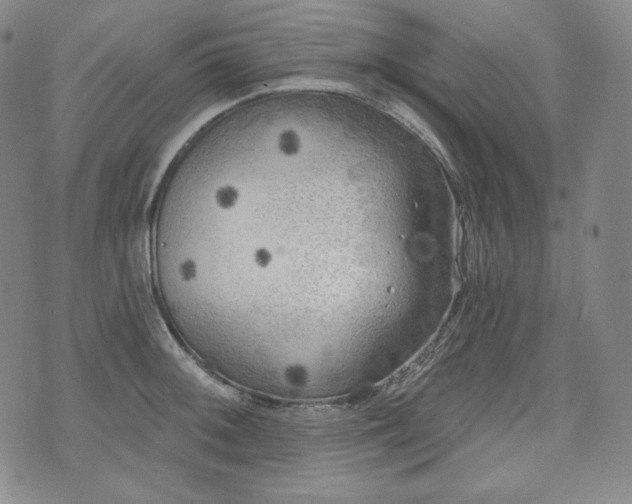 X0000071961092200607141428