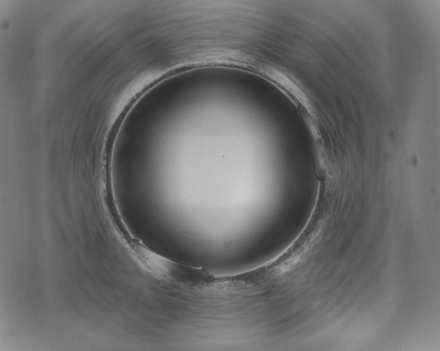 X0000071961093200607141428