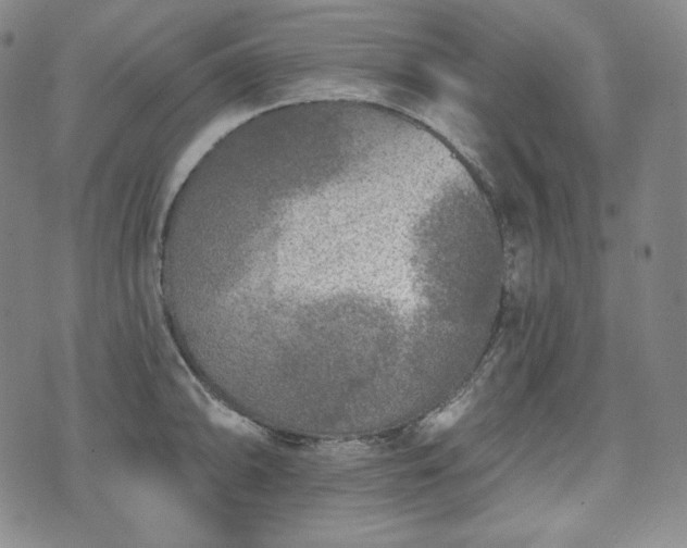 X0000071961094200607141428