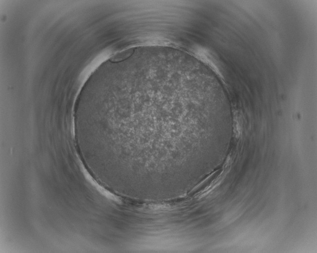 X0000071961095200607141428