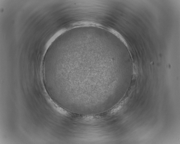 X0000071961098200607141428