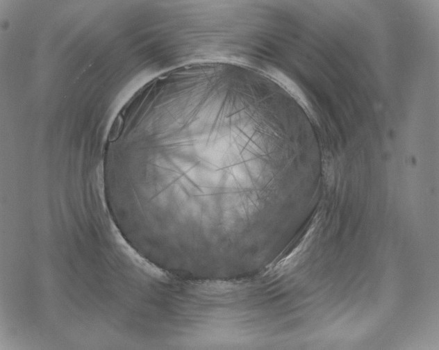 X0000071961100200607141428