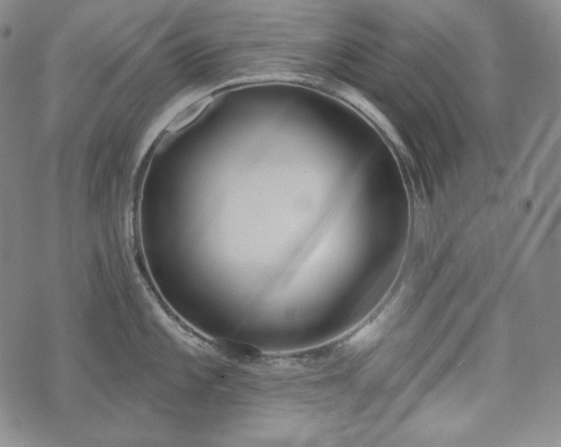 X0000071961101200607141428