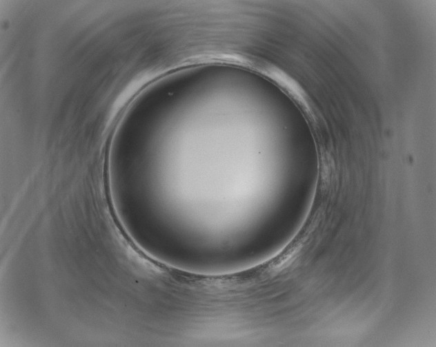 X0000071961102200607141428