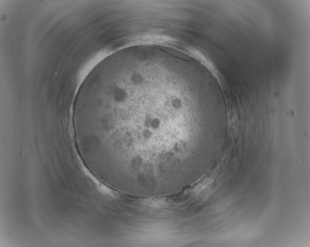 X0000071961103200607141428