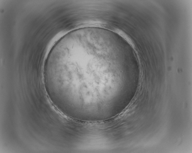 X0000071961104200607141428