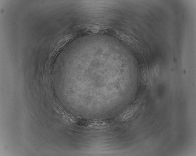 X0000071961105200607141427