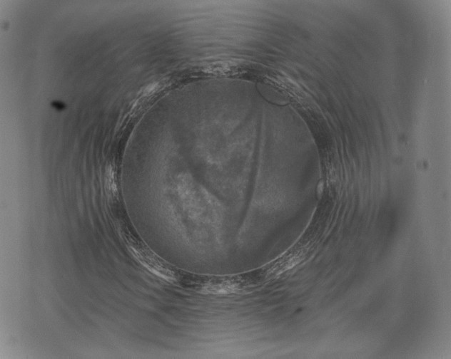 X0000071961106200607141427