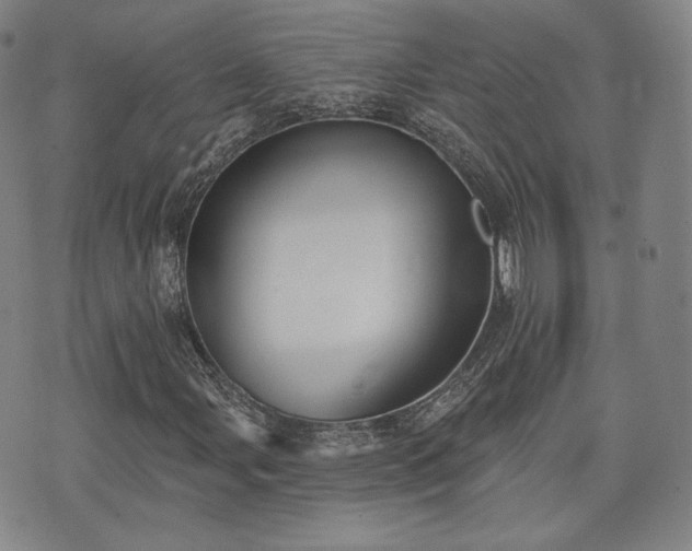 X0000071961107200607141427