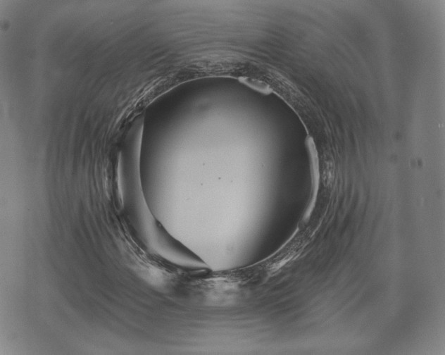 X0000071961108200607141427