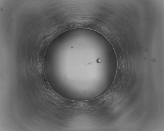 X0000071961109200607141427