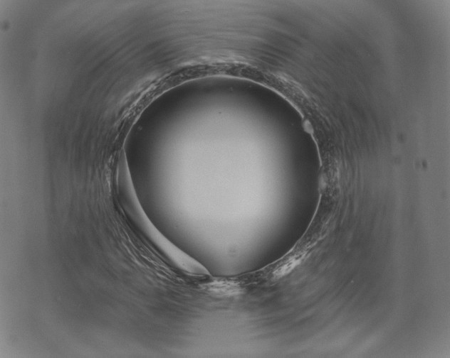 X0000071961110200607141427