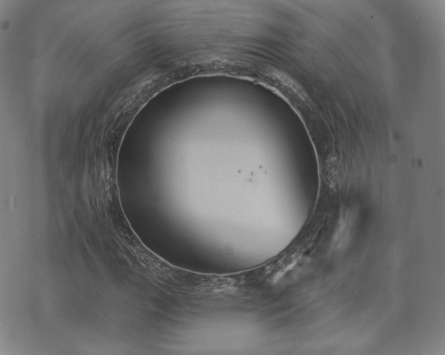 X0000071961111200607141427