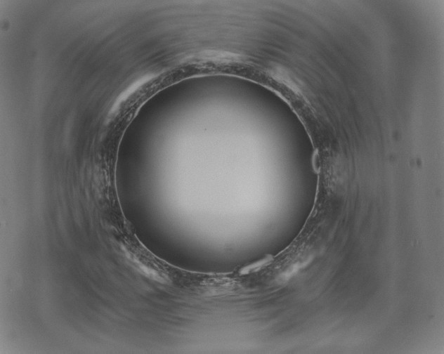 X0000071961112200607141427