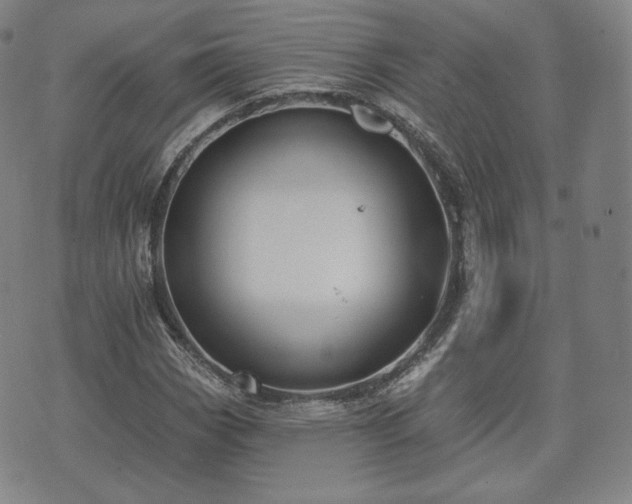 X0000071961113200607141427