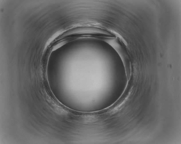 X0000071961114200607141427