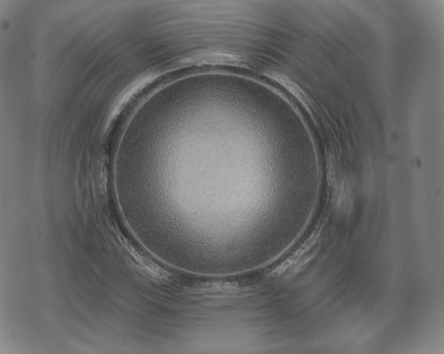 X0000071961115200607141427