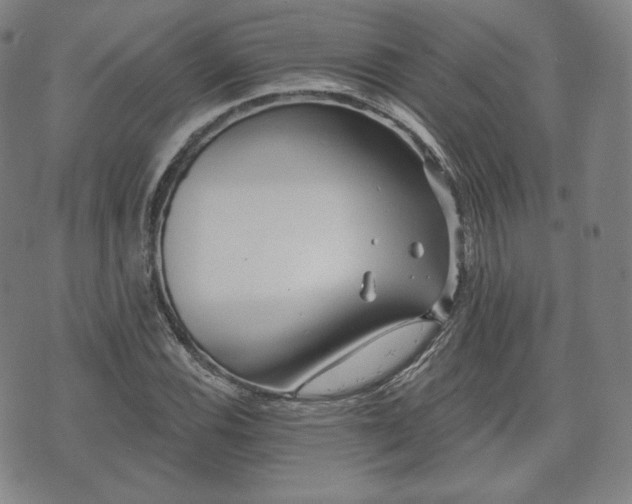 X0000071961116200607141427