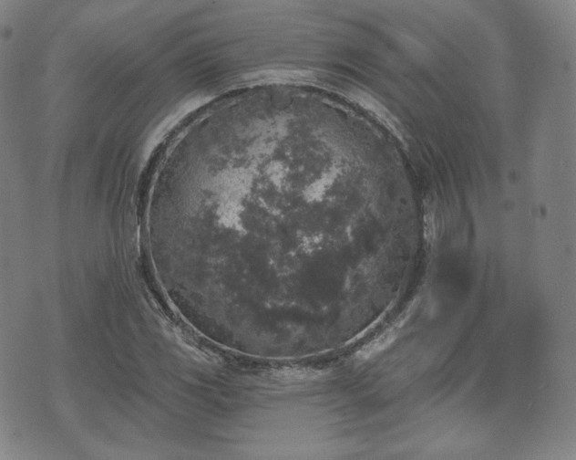 X0000071961117200607141427